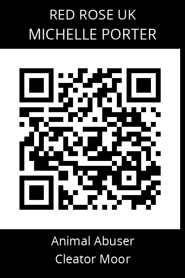 QR code for michelle-porter