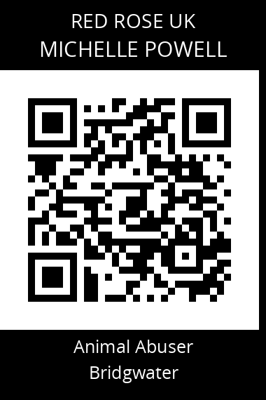 QR code for michelle-powell