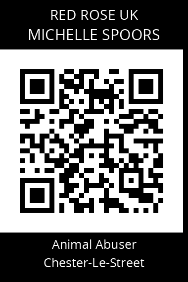 QR code for michelle-spoors