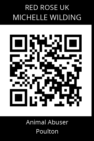 QR code for michelle-wilding
