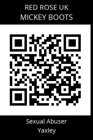 QR code for mickey-boots