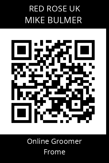 QR code for mike-bulmer