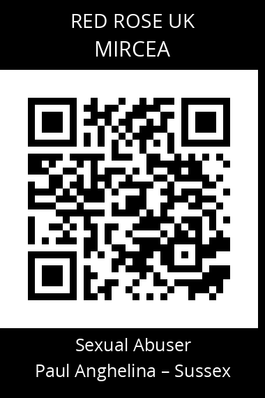 QR code for mircea
