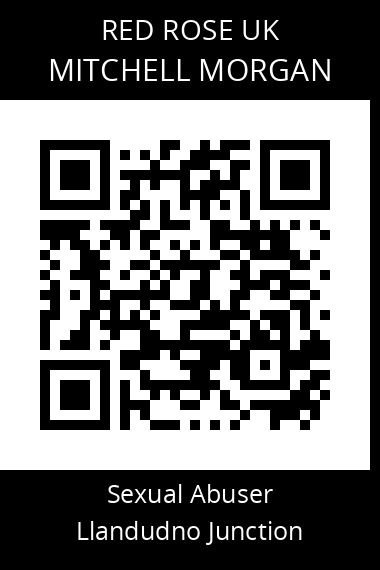 QR code for mitchell-morgan