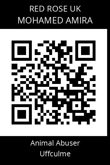 QR code for mohamed-amira