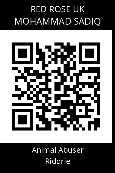 QR code for mohammad-sadiq