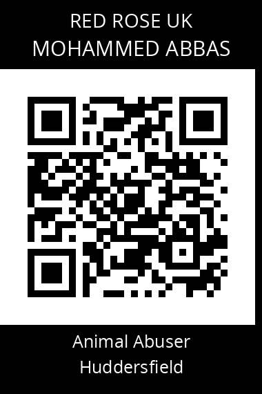QR code for mohammed-abbas-2