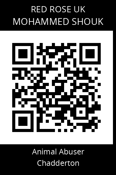 QR code for mohammed-shouk