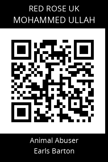 QR code for mohammed-ullah-2