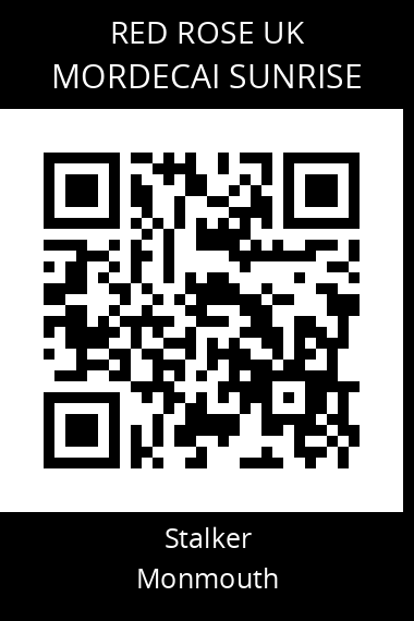 QR code for mordecai-sunrise