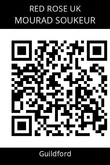 QR code for mourad-soukeur-gun7qj