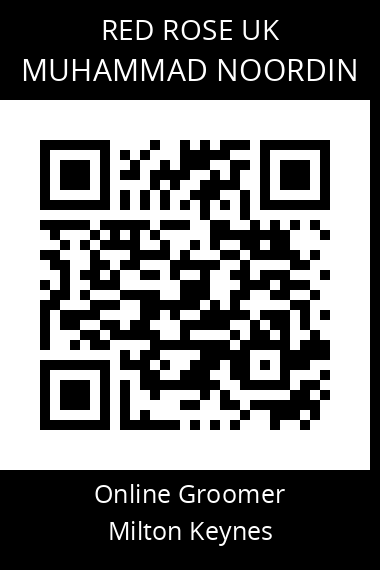 QR code for muhammad-noordin