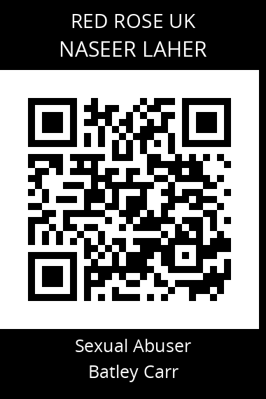 QR code for naseer-laher