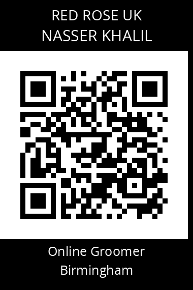 QR code for nasser-khalil