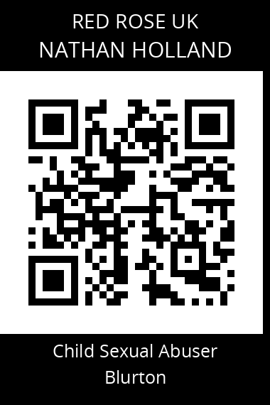 QR code for nathan-holland