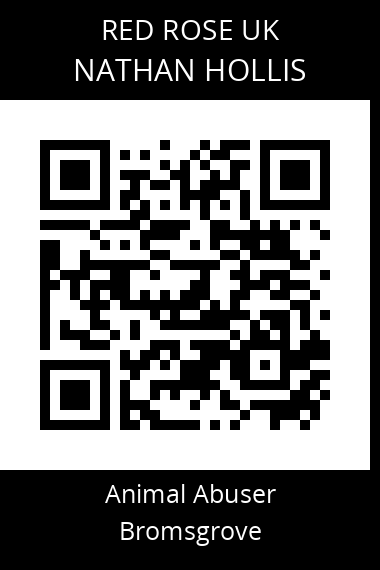 QR code for nathan-hollis-1
