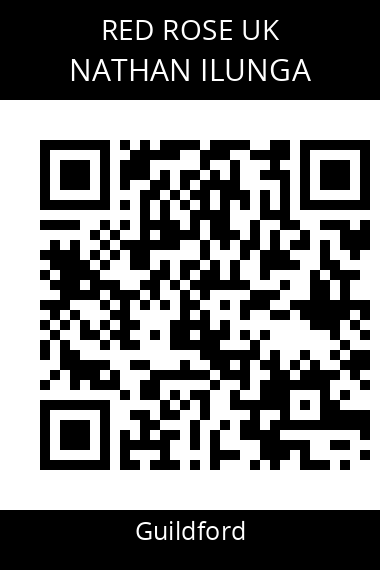 QR code for nathan-ilunga-io8njm