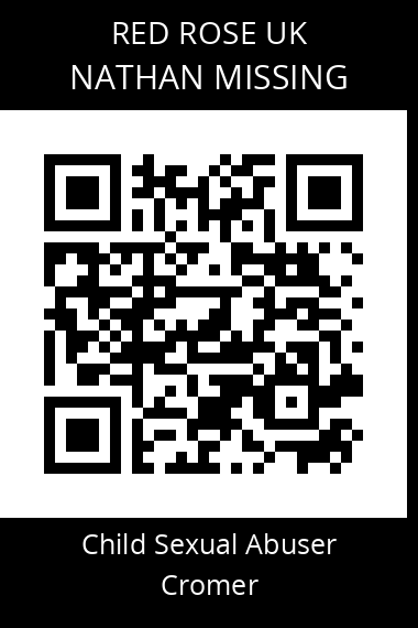 QR code for nathan-missing