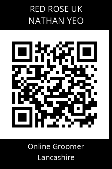 QR code for nathan-yeo