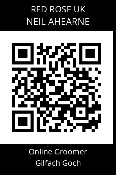 QR code for neil-ahearne