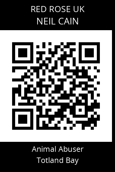 QR code for neil-cain