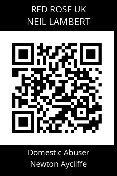 QR code for neil-lambert