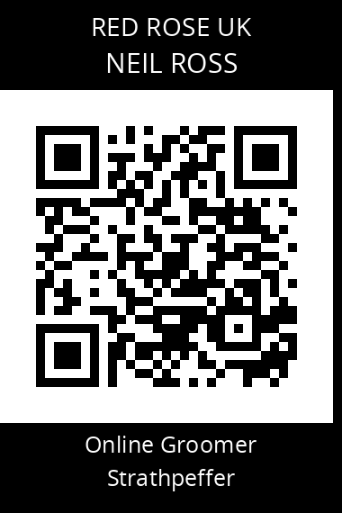 QR code for neil-ross-3