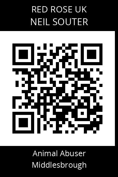 QR code for neil-souter
