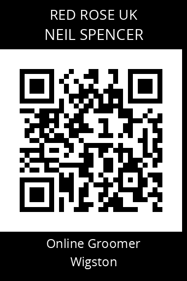 QR code for neil-spencer