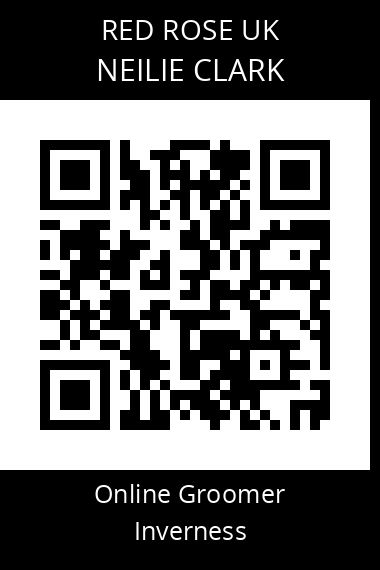 QR code for neilie-clark