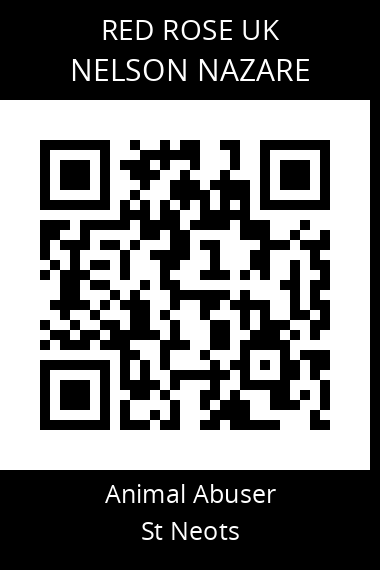 QR code for nelson-nazare