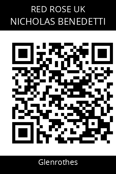 QR code for nicholas-benedetti