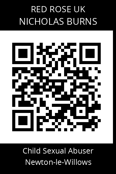 QR code for nicholas-burns