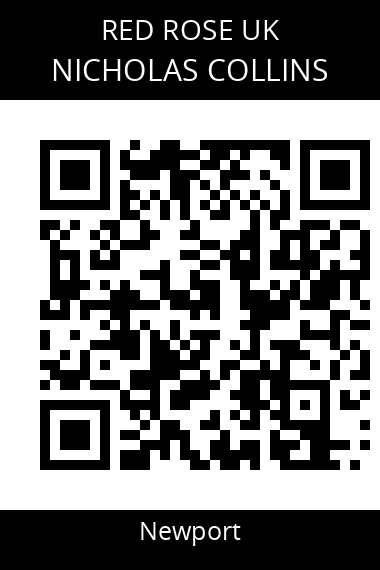 QR code for nicholas-collins-3