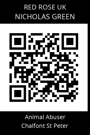 QR code for nicholas-green-2