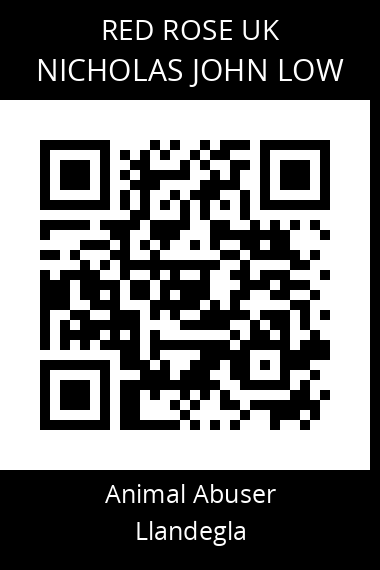 QR code for nicholas-john-low