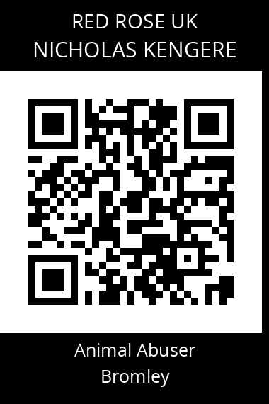 QR code for nicholas-kengere