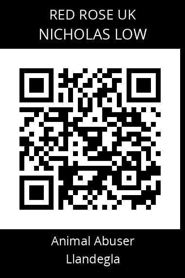 QR code for nicholas-low