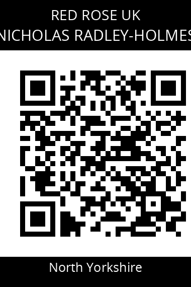 QR code for nicholas-radley-holmes