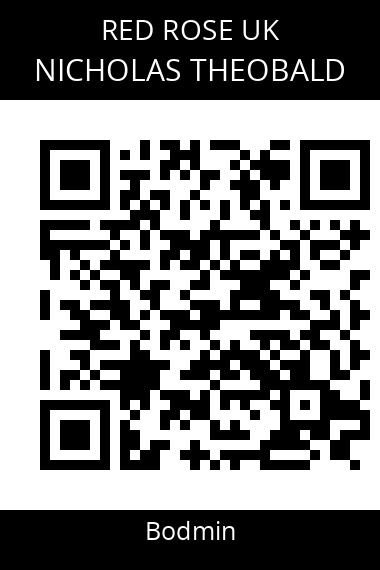 QR code for nicholas-theobald-mosejx