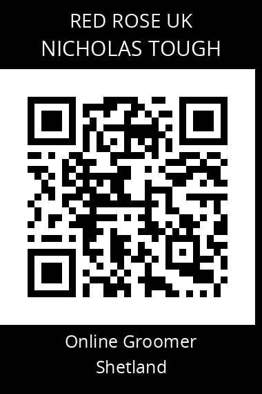 QR code for nicholas-tough-1
