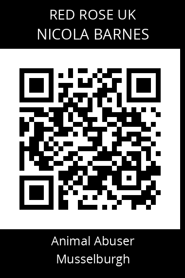 QR code for nicola-barnes