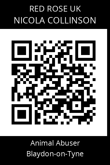 QR code for nicola-collinson