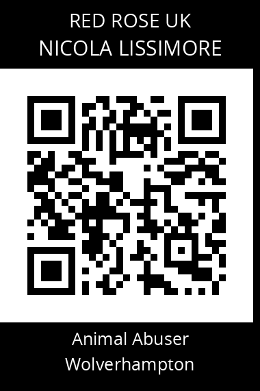 QR code for nicola-lissimore