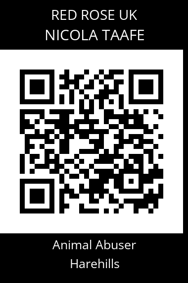 QR code for nicola-taafe