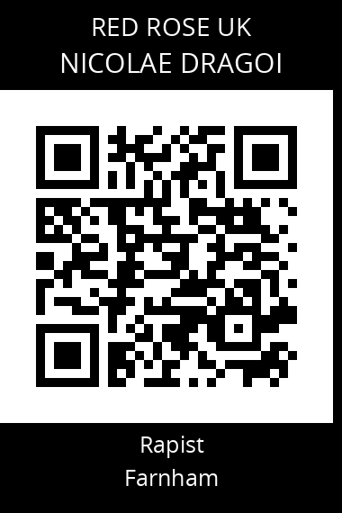 QR code for nicolae-dragoi