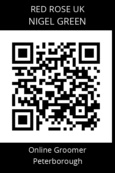 QR code for nigel-green-1