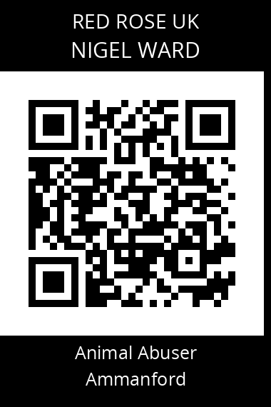 QR code for nigel-ward