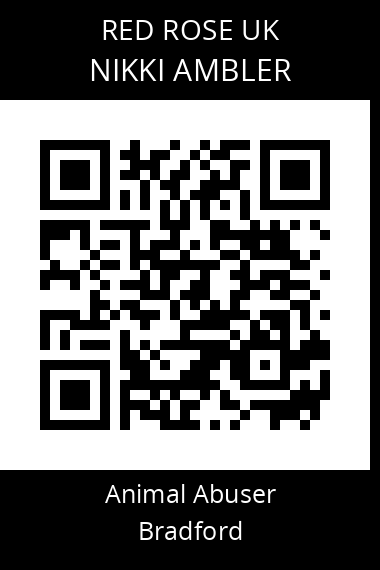QR code for nikki-ambler