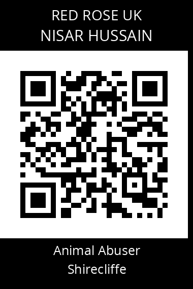 QR code for nisar-hussain